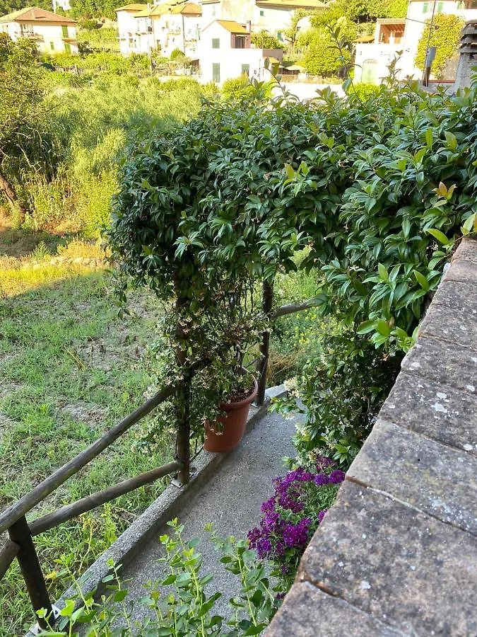 Pippi'S Home Finale Con Box Auto Orco Feglino